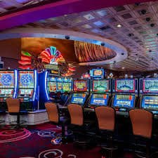 vip 345 bet
